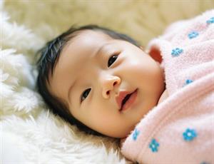 施姓女孩木字旁取名大全：诗意好听名字精选